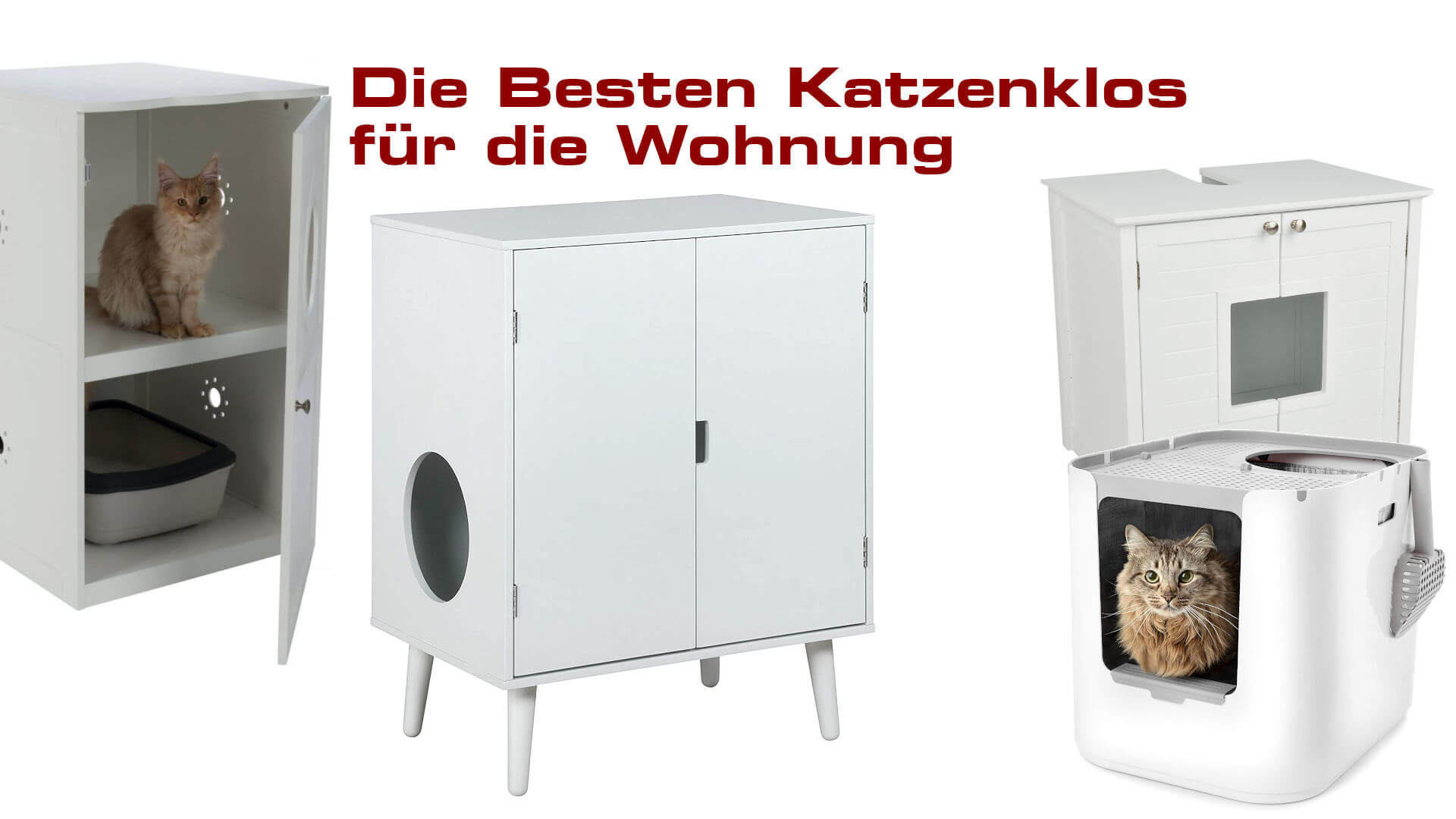 Die besten Katzenklos - Die besten Katzentoiletten für die Wohnung