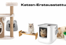 Katzenerstausstattung: Das benötigst Du bei der Anschaffung einer Katze Katzen-Erstausstattung - Was Du dir beim Kauf einer Katze anschaffen solltest
