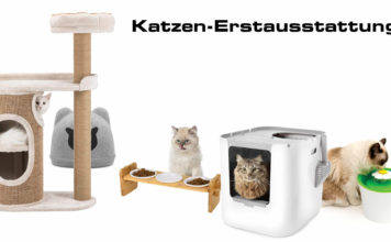 Katzenerstausstattung: Das benötigst Du bei der Anschaffung einer Katze Katzen-Erstausstattung - Was Du dir beim Kauf einer Katze anschaffen solltest