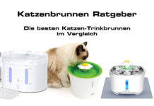 Katzentrinkbrunnen: Die Besten Katzenbrunnen für deine Katze Katzenbrunnen Ratgeber - Die besten Trinkbrunnen für Katzen im Vergleich - Test- und Erfahrungsbericht