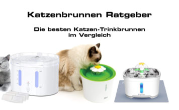 Katzentrinkbrunnen: Die Besten Katzenbrunnen für deine Katze Katzenbrunnen Ratgeber - Die besten Trinkbrunnen für Katzen im Vergleich - Test- und Erfahrungsbericht