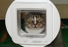 Katzenklappe und Einbruchsicherheit Katzenklappe Einbruch Sicherheit Schutz