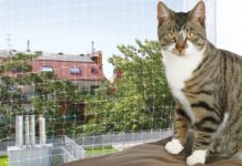 Trixie Schutznetz Transparent für Katzen im Test Trixie Schutznetz Transparent- Katzennetz von Trixie - Test und Erfahrungsbericht