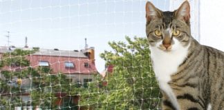 Trixie Schutznetz Transparent für Katzen im Test Trixie Schutznetz Transparent- Katzennetz von Trixie - Test und Erfahrungsbericht