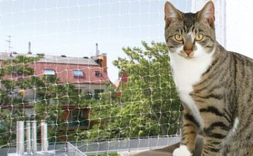 Trixie Schutznetz Transparent für Katzen im Test Trixie Schutznetz Transparent- Katzennetz von Trixie - Test und Erfahrungsbericht