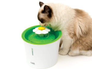catit Katzen Blumentrinkbrunnen grün mit Blume und Füllstandsanzeige